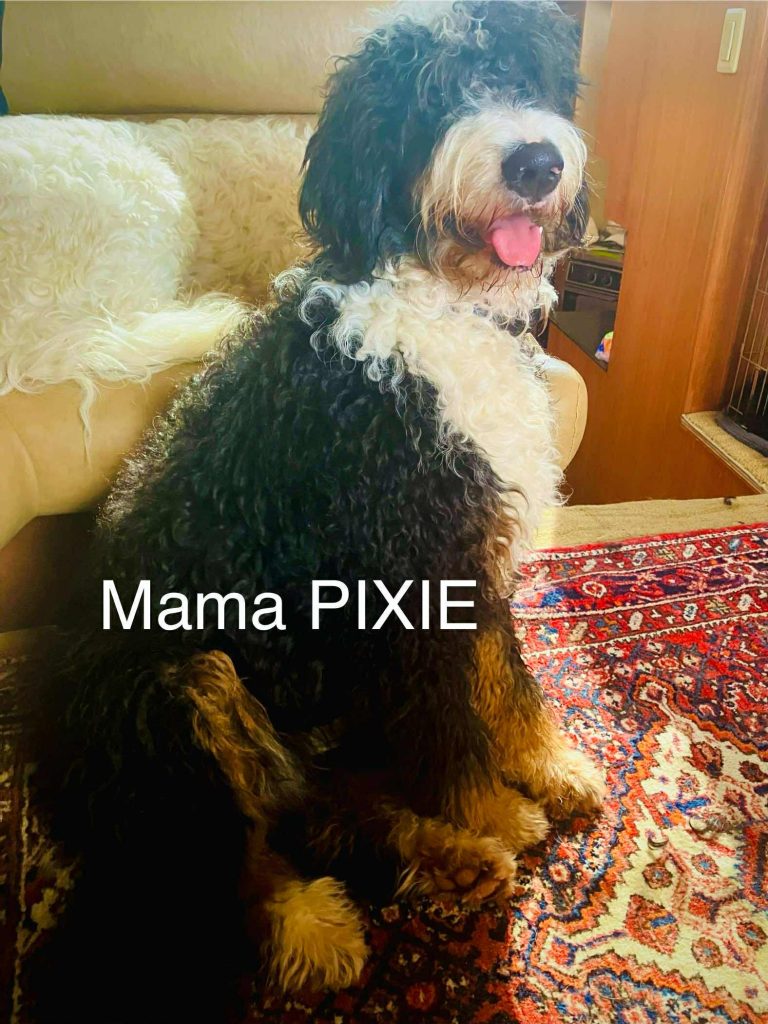 Mama Pixie