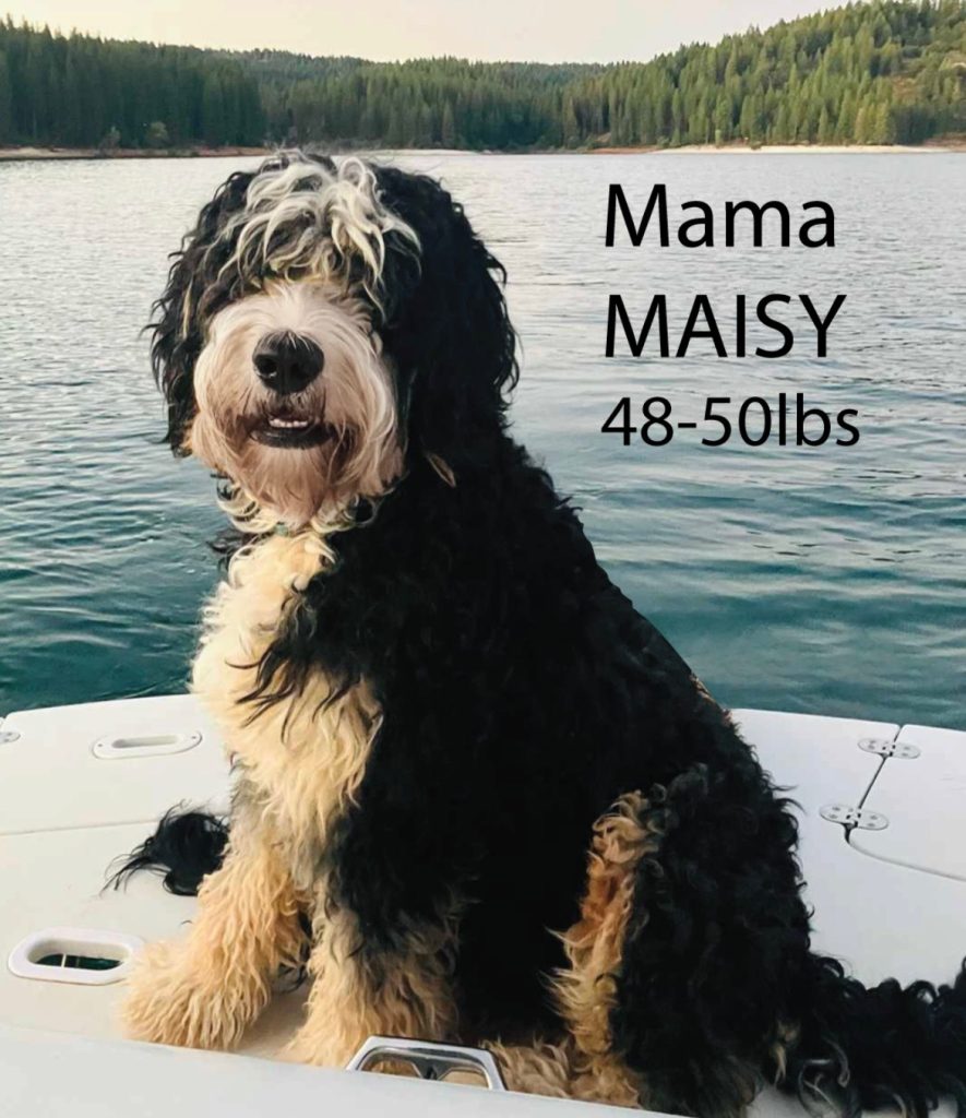 Mama Maisy