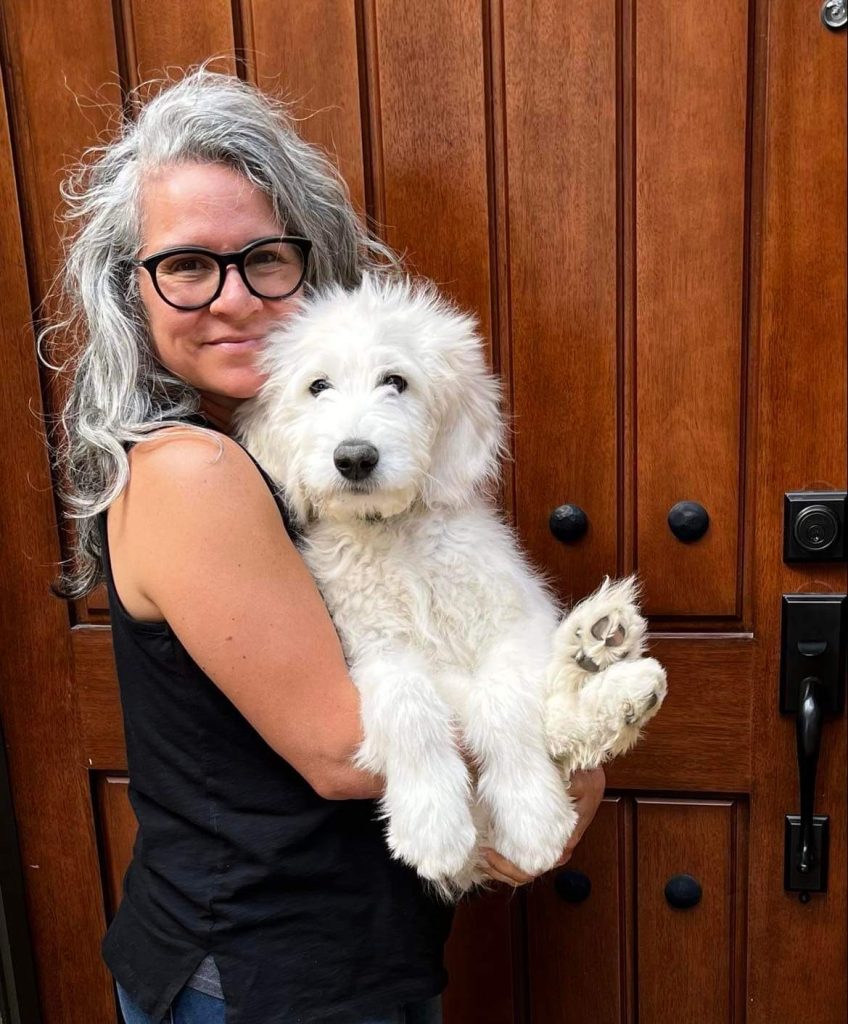 Bernedoodle breeder